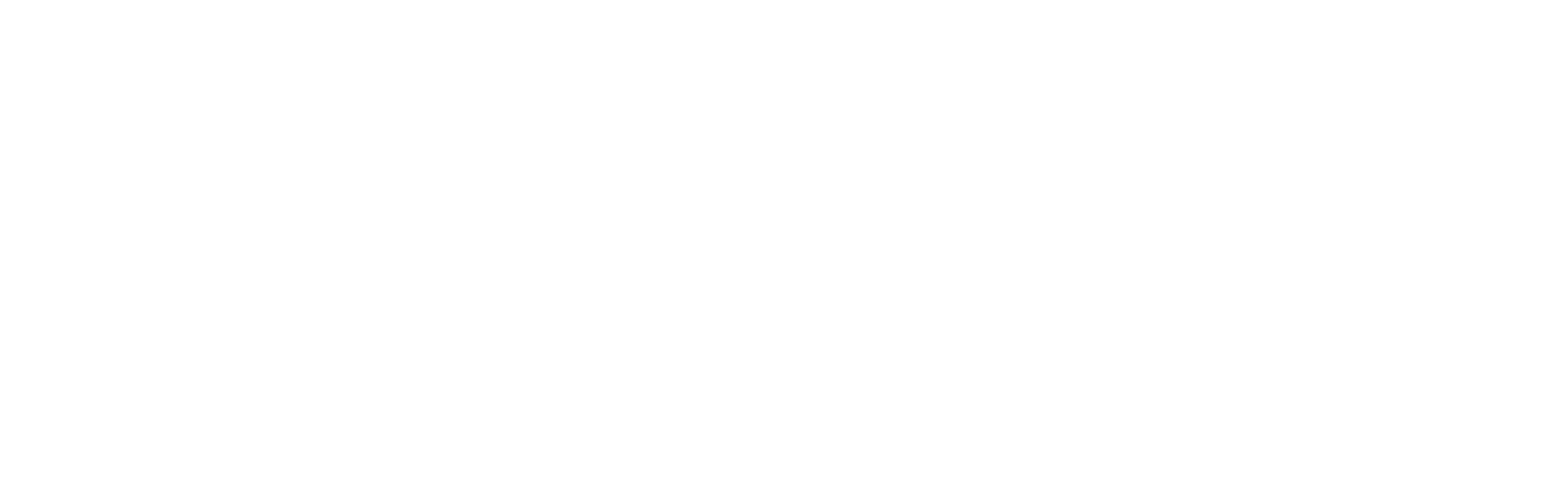 Nambozi logo white-01
